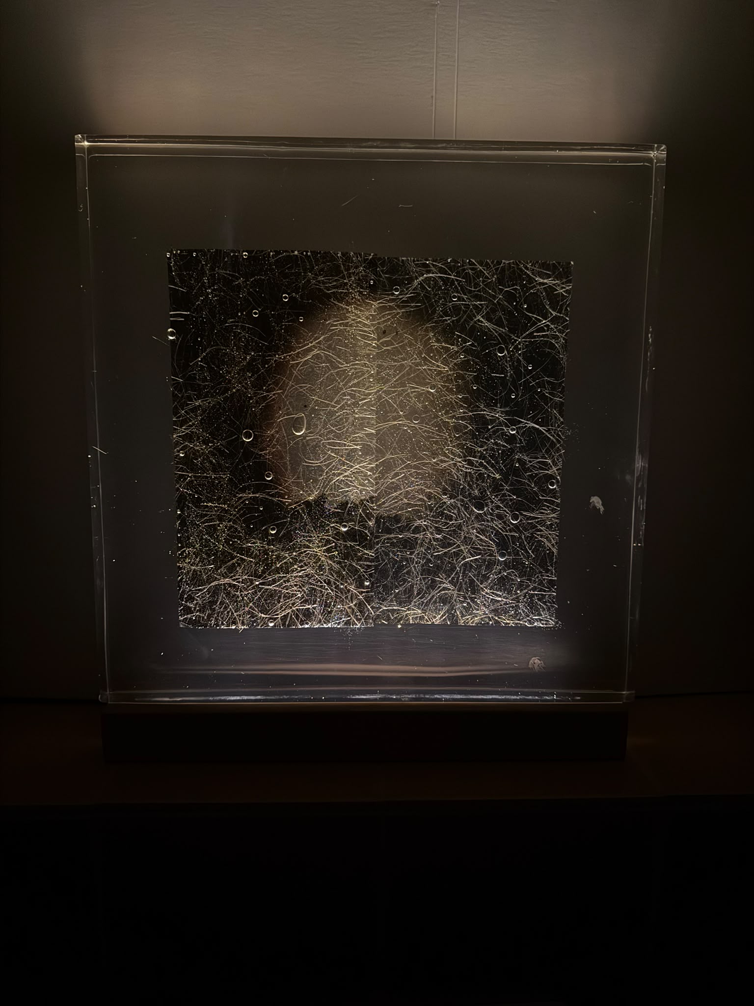 Golden threads of light caught in a clear resin block